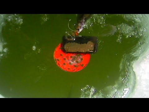 How to recover your smartphone from the bottom of the lake