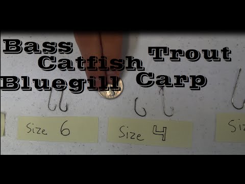 Hook Size to Use for Bass, Crappie, Catfish, Bluegill, Walleye, Trout Fishing