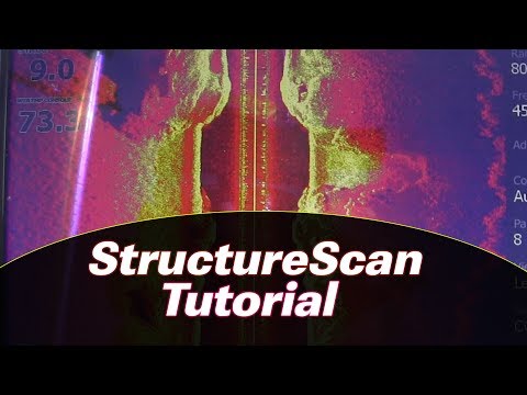 Lowrance StructureScan and SideScan [Catch Big Summer Largemouth Tutorial]
