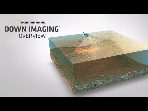 What is Down Imaging and How to Read It | Humminbird