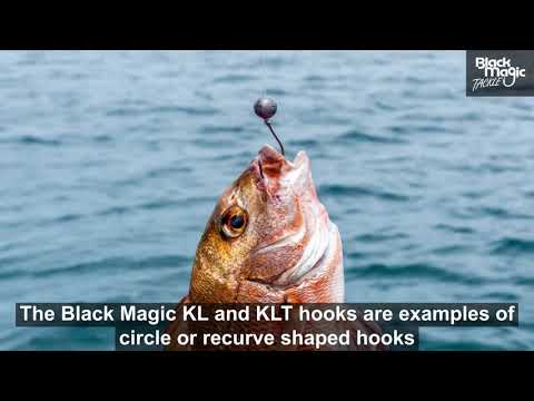Black Magic hooks - choosing your fishing hook