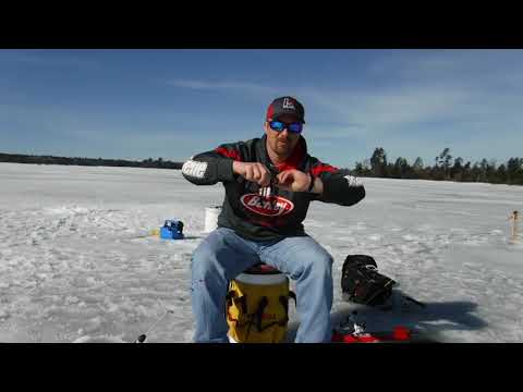 Ice-Fishing Minnow Hooking Tips