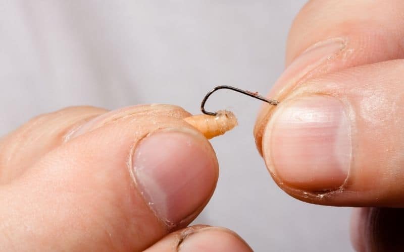 small ice fishing hooks for small bait