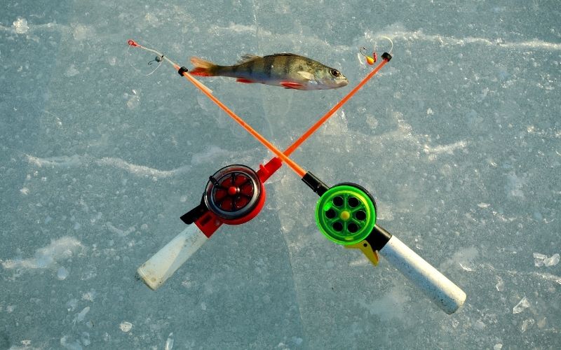 ice fishing lines you can you in Minnesota