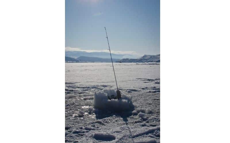 Ice Fishing Poles