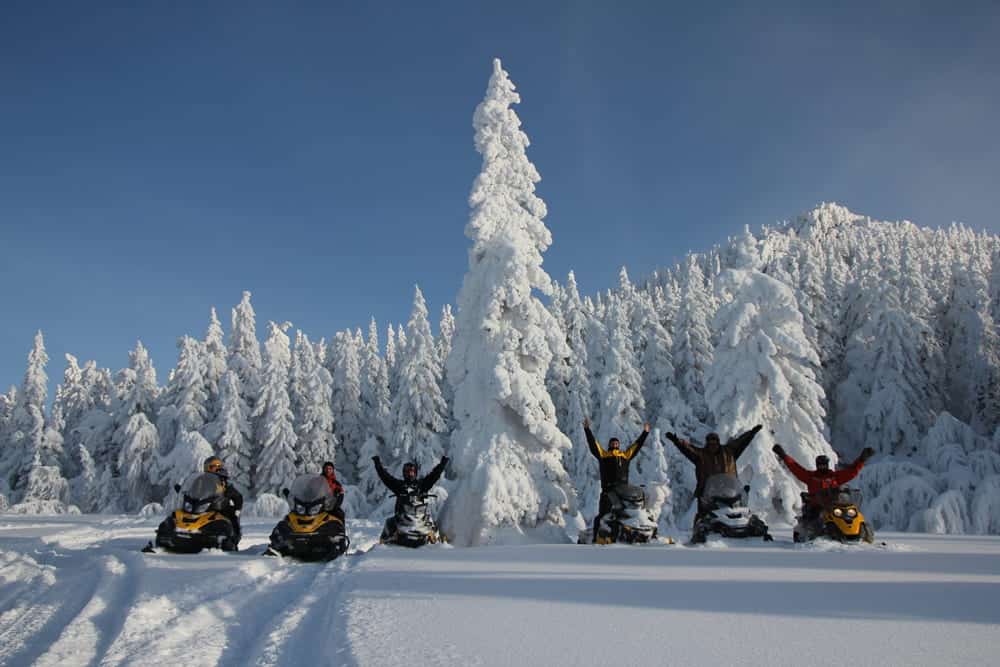 different types of snowmobiles