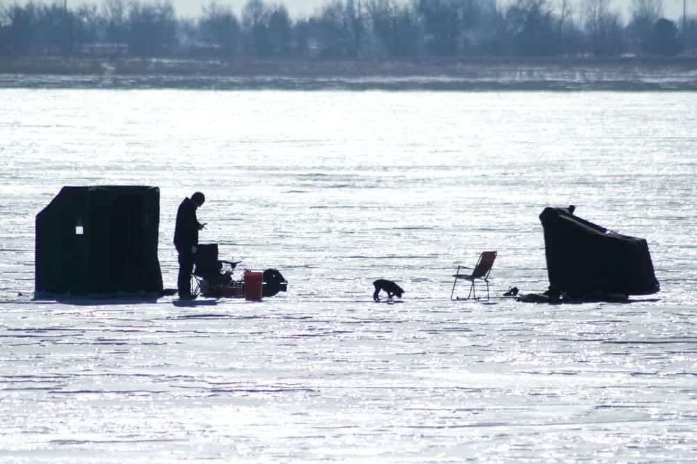 dog and ice-fishing