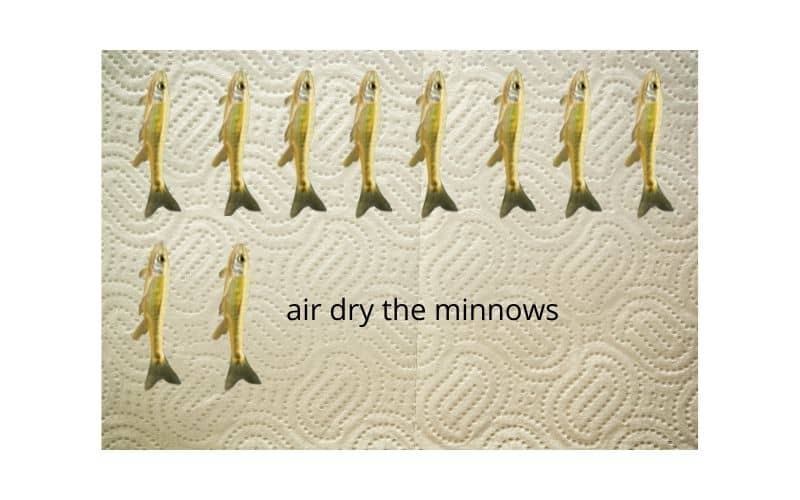 air dry the minnows