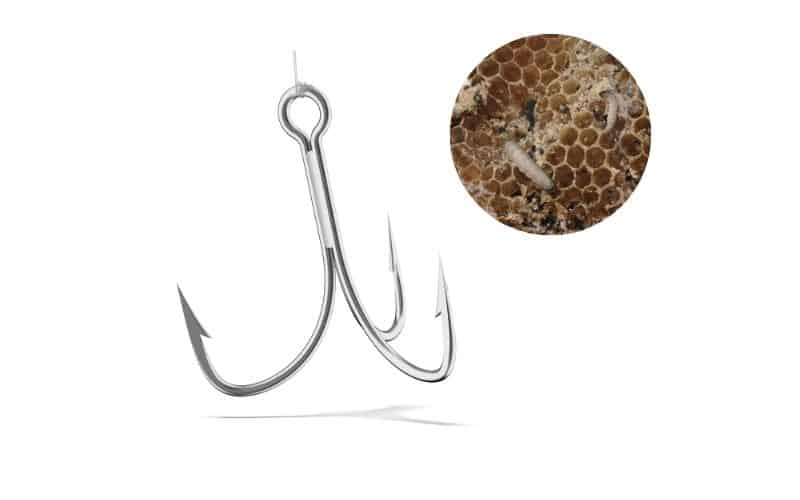 to hook wax worms on a treble hook