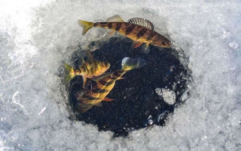 How To Make an Ice Fishing Hole Without an Auger?