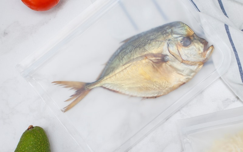 What Is the Best Way To Freeze Fish in Ziplock Bags?