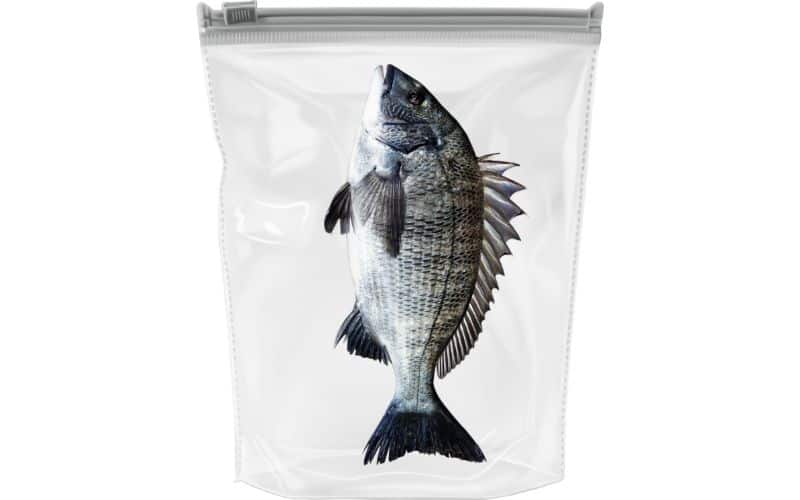 fish kept in ziplock bags
